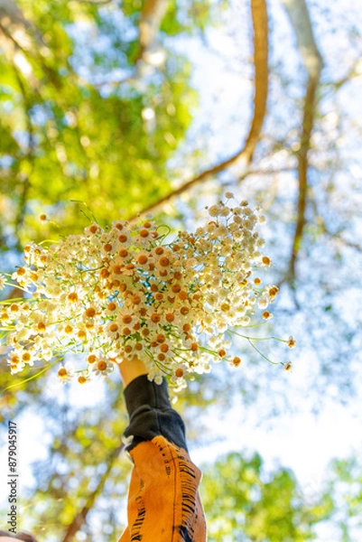 Obraz nature moments