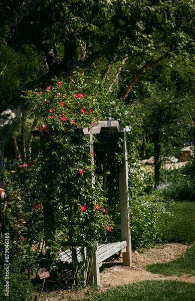 Obraz nature moments