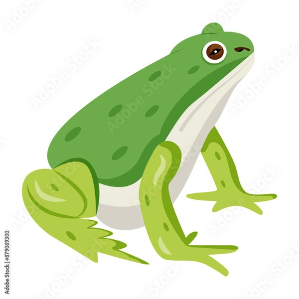 Fototapeta Ranidae vector icon in flat style 

