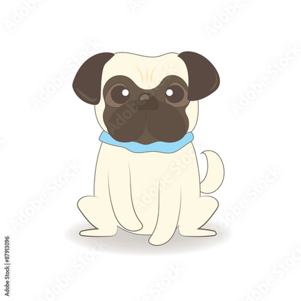 Obraz Cute pug puppy sitting.