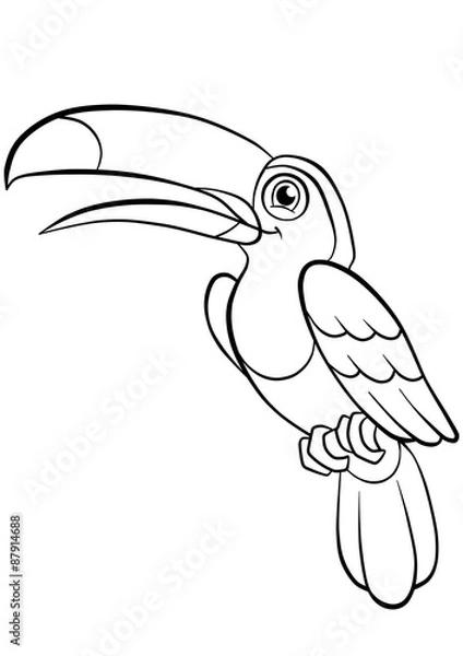 Fototapeta kind smiling cute toucan in a forest