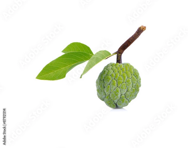 Fototapeta custard apple isolated on white background.