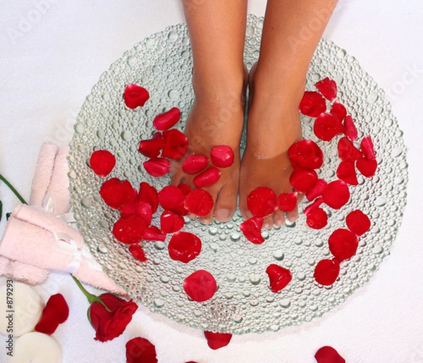 Fototapeta spá pies 2