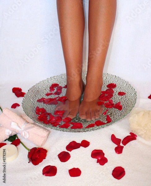 Fototapeta spá pies 2