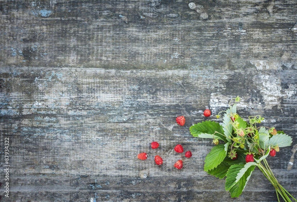 Obraz strawberry shrub