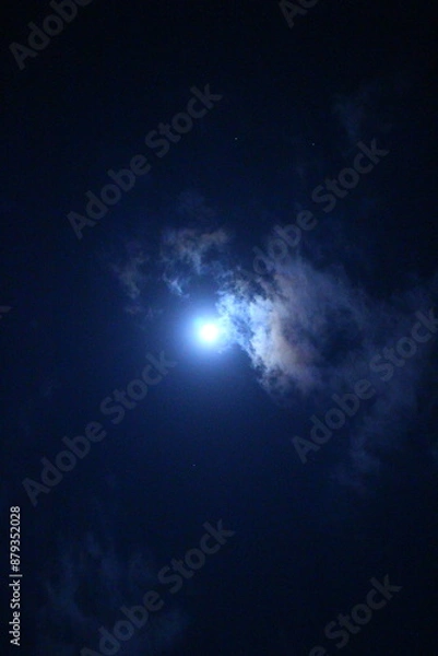 Fototapeta 満月　月のある景色