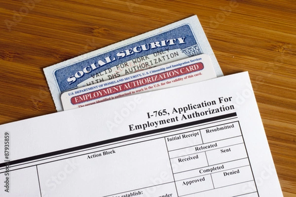 Obraz Application for Employment