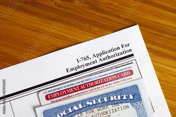 Obraz Application for Employment