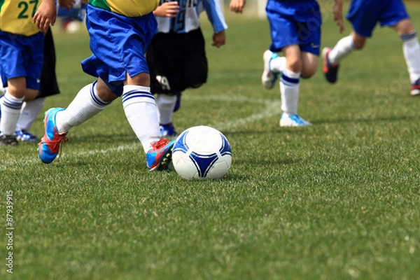 Fototapeta サッカー　フットボール