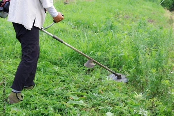 Fototapeta 農地の草刈り作業をする男性
