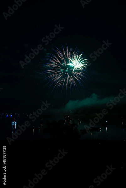 Fototapeta  Beautiful fireworks in the night sky #58