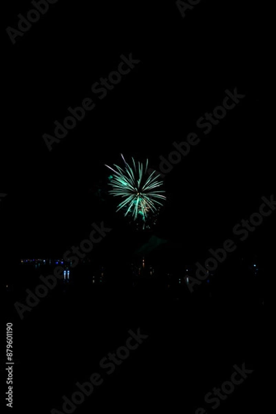 Fototapeta  Beautiful fireworks in the night sky #52

