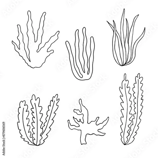Fototapeta Hand drawn algae black set on white background. Vector illustration isolated sketch. Line art.