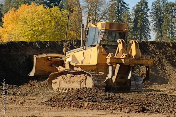 Fototapeta Small Bull