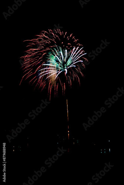 Fototapeta  Beautiful fireworks in the night sky #78