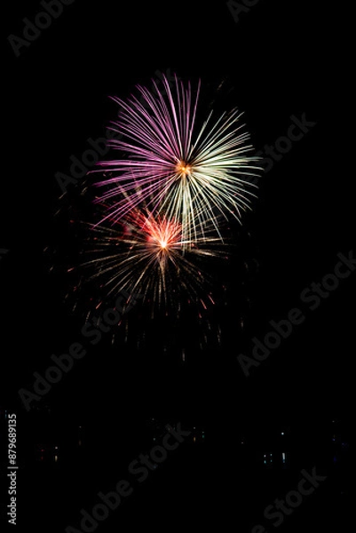 Fototapeta  Beautiful fireworks in the night sky #76
