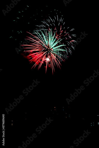 Fototapeta  Beautiful fireworks in the night sky #71