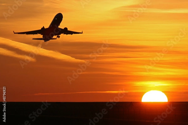 Obraz der sonne entgegen