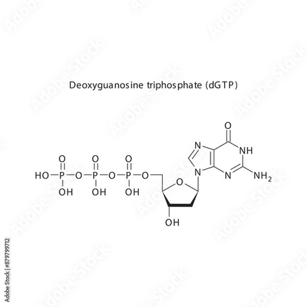 Fototapeta Deoxyguanosine triphosphate (dGTP) skeletal structure schematic illustration, Nucleoside molecule.