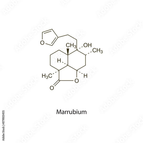 Obraz Marrubium flat skeletal molecular structure Mucoactive agent drug used in cough treatment. Vector illustration scientific diagram.
