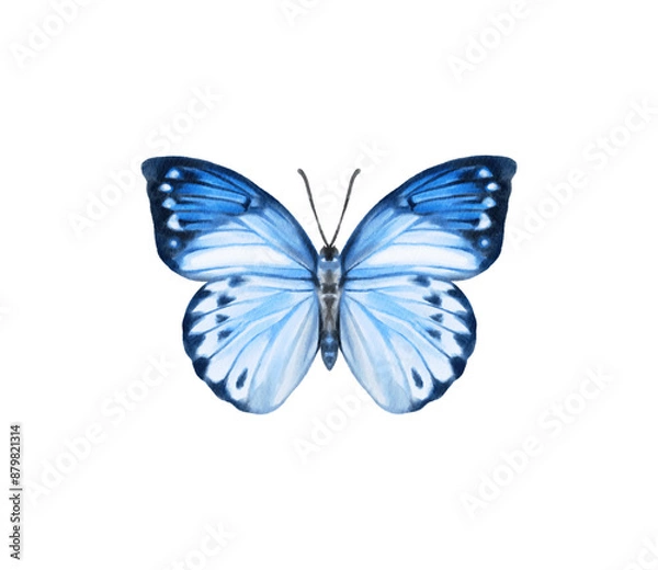 Fototapeta Watercolor colorful butterflies, isolated on white background. blue, yellow, pink and red butterfly spring 