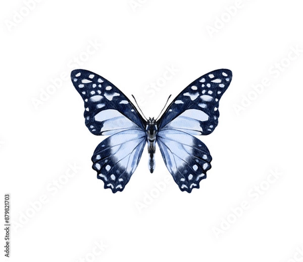Fototapeta Watercolor colorful butterflies, isolated on white background. blue, yellow, pink and red butterfly spring 