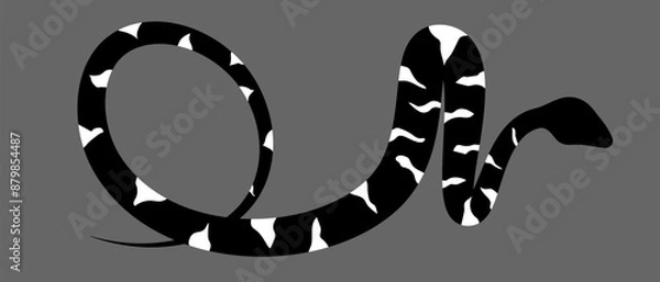 Fototapeta Black and white silhouette snake. Isolated symbol on grey background. Reptile vector illustration. Dangerous wildlife animals in garden. Black snake with white spots. Eps 10 clipart draw. 