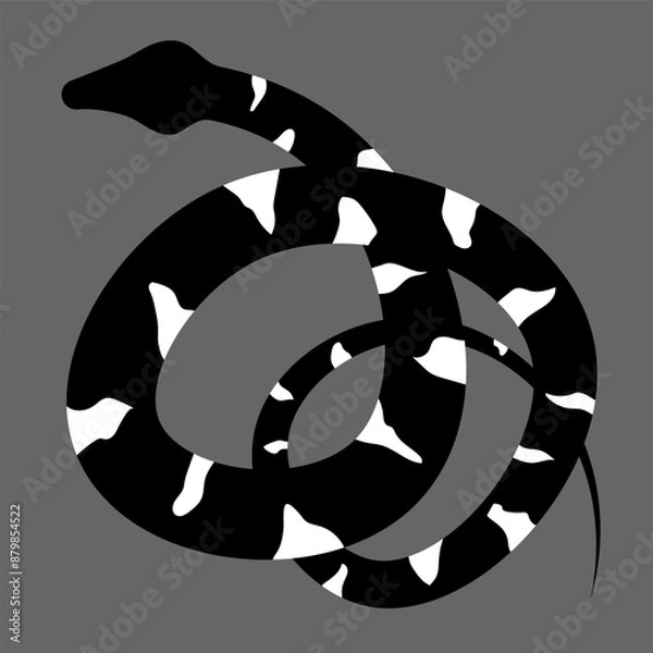 Fototapeta Black and white silhouette snake. Isolated symbol on grey background. Rounded reptile vector illustration. Dangerous wildlife animals in garden. Black snake with white spots. Eps 10 clipart draw. 