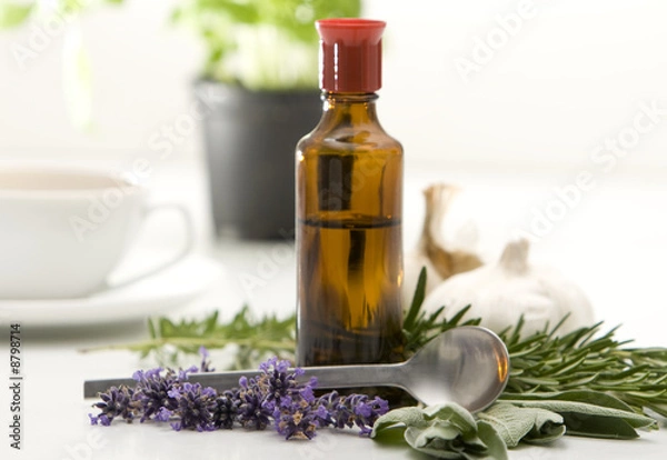 Obraz Herbal Medicine