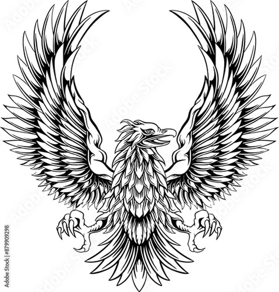 Obraz Eagle Line Art Illustration
