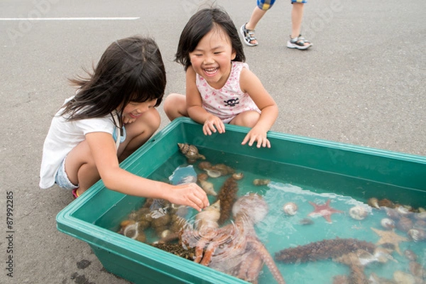 Obraz 海の生き物に触れる子供達