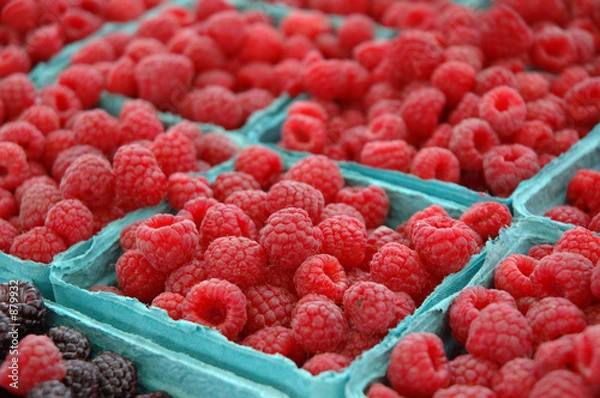 Obraz raspberries