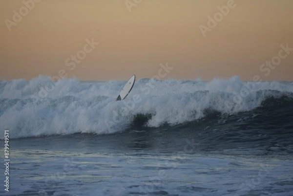 Fototapeta surfing the waves