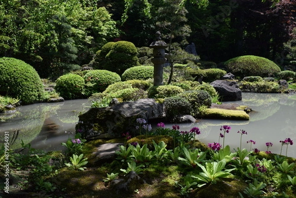 Fototapeta 日本庭園