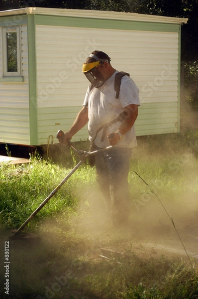 Fototapeta le débroussaillage