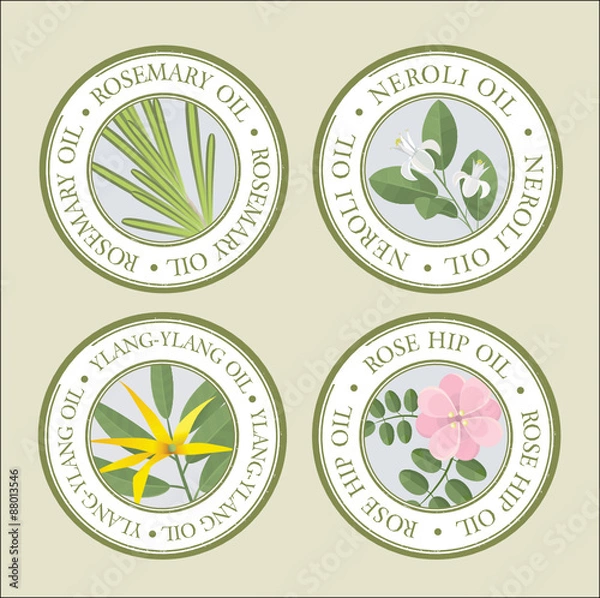 Obraz essential oils stickers vector set