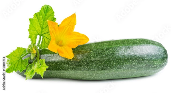 Obraz Cukinia z kwiatem