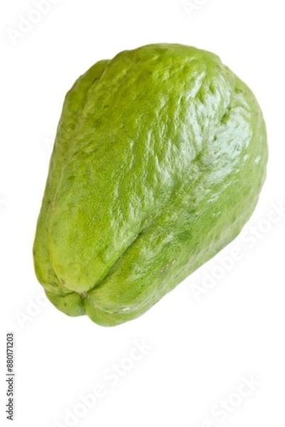 Fototapeta A close up shot of a fresh choko (chayote) fruit on white background.