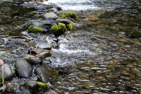 Obraz clean clear water river