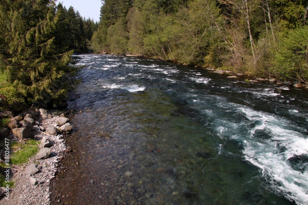 Obraz clean clear water river