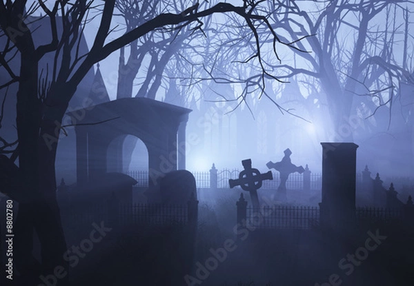 Obraz Misty zarośnięte cmentarz