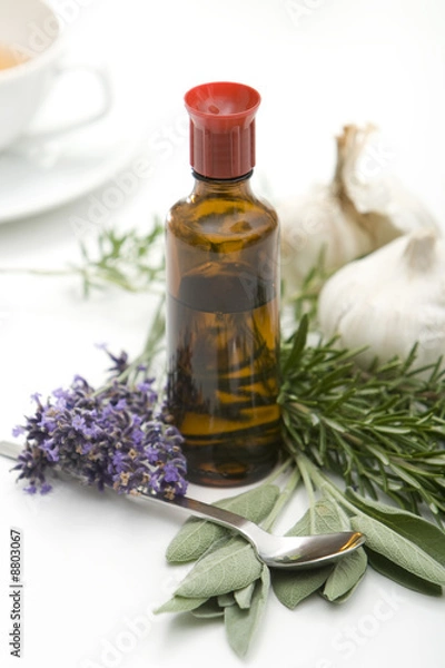 Obraz Herbal medicine