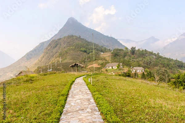 Obraz Resort and Rice Paddy fields