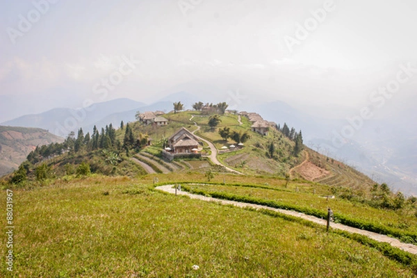 Obraz Resort and Rice Paddy fields