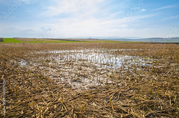 Obraz Flooded farm land corn field with remains after harvesting due to heavy rain causing a puddle and wet land on a sunny spring day with a blue cloudy sky