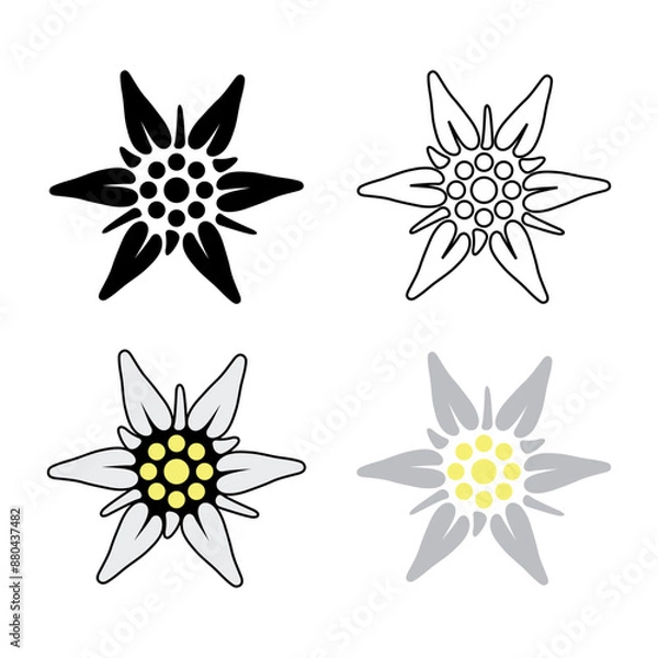 Fototapeta Set icons of Edelweiss. Simple illustration of Edelweiss vector icon for Internet. Traditional Bavarian symbol.