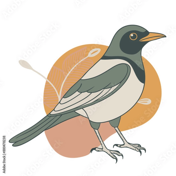 Obraz Magpie Bird Color Vector for various uses