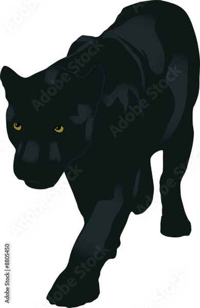 Obraz ilustracja pantery