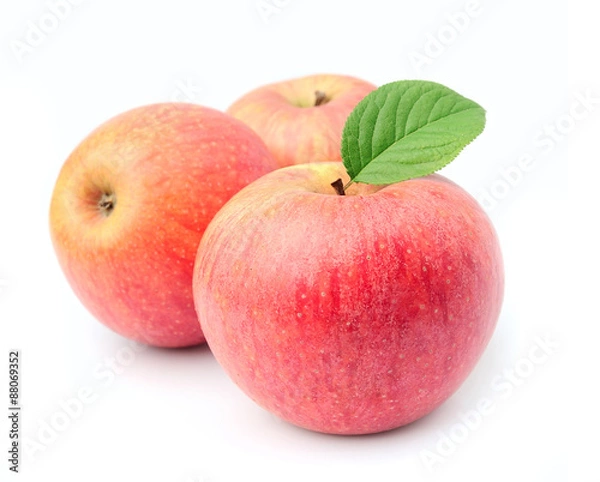 Obraz Ripe apples fruit