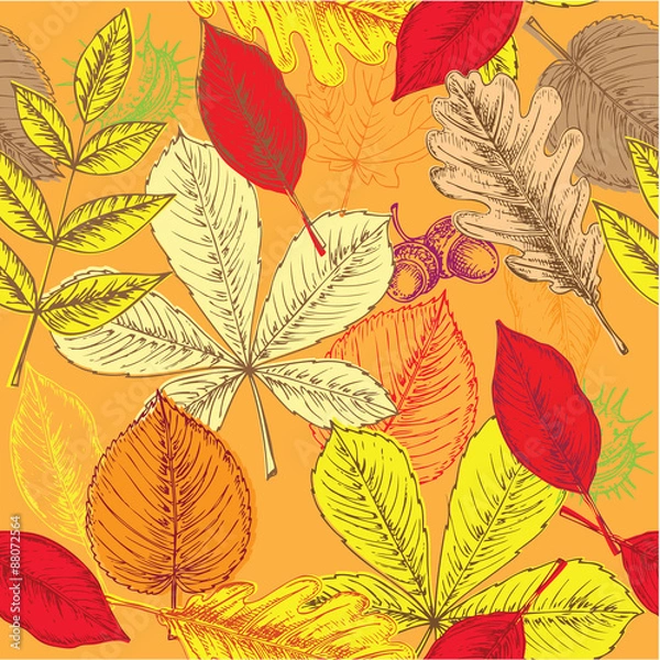 Fototapeta hand drawn autumn leaves pattern